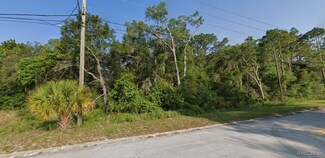 1129 Rutgers Terrace, Inverness Highlands South, FL 34452