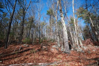 00 Mammoth Rd, Pelham, NH 03076