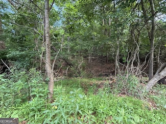 0 Bayhill Dr Unit 10524198, Gainesville, GA 30506