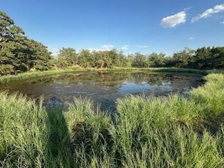 0 Texas 137, Lenorah, TX 79749