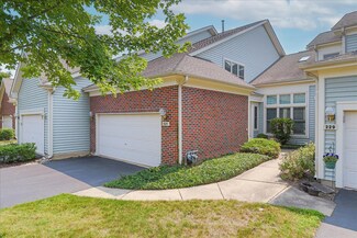 231 Parktrail Ct Unit 523, Schaumburg, IL 60173