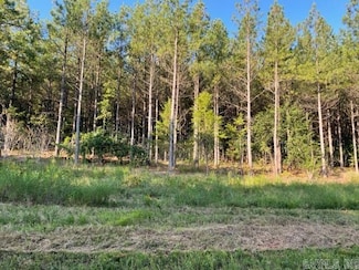 5 Round Mountain Rd, Conway, AR 72034