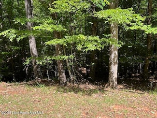 0 Palmer Dr Unit 25-1666, Dadeville, AL 36853
