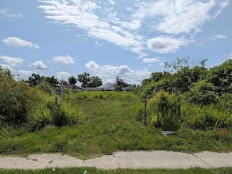 7007 N Manhattan Ave, Tampa, FL 33614