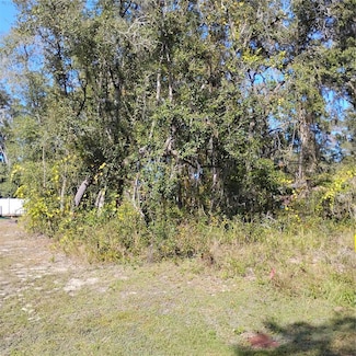TBD SE 61st Place, Ocklawaha, FL 32179