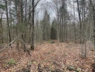 2319 E Hill Rd, Woodbury, VT 05681