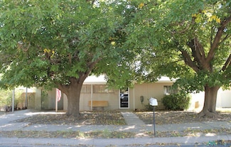 1401 S Adams Ave, Roswell, NM 88203