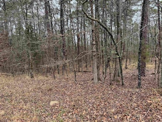 23 Brilliante Ln, Hot Springs Village, AR 71909