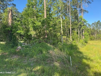 Nsn Suzanne Ave, Pass Christian, MS 39571
