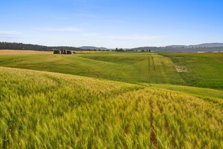 NKA N Bruce Rd Unit Lot 3, Mead, WA 99021