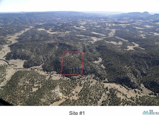 0000 TBD 1 Goat Ranch Rd, Pie Town, NM 87827