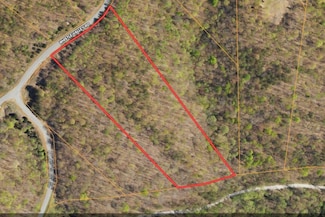 L160 Whistle Valley Rd, New Tazewell, TN 37825