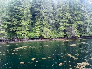NHN Legal Address Only Unit Lot 18, West Channel, Ketchikan, AK 99901