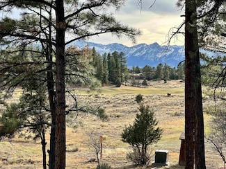 46 Marmot Ct, Ridgway, CO 81432