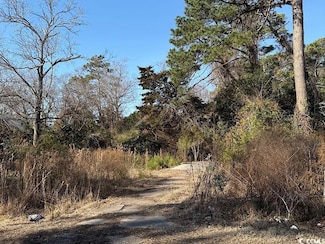 1005 3rd Ave N Unit Multi-family lot, Myrtle Beach, SC 29577