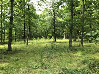 6-C Greenfields Way N, Dunlap, TN 37327
