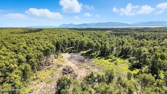 13964 W Little Jack Ave, Wasilla, AK 99654