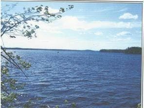 Lot 3 Munson Head Rd, Whiting, ME 04691
