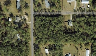 10040 Kirchherr Ave, Hastings, FL 32145