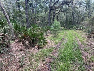 00 NW 87th Place, Chiefland, FL 32626