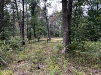 Parcel B Michway St, Baldwin, MI 49304