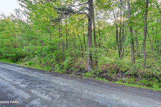0 W Shore Dr, Mount Cobb, PA 18436