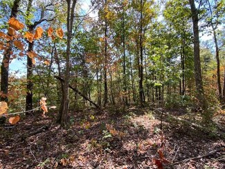 11 Fife St, South Pittsburg, TN 37380