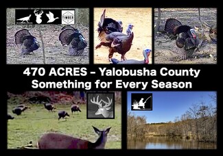 3114 County Road 212, Water Valley, MS 38965
