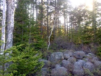 1069 Isle Au Haute Mountain Rd W, Vinalhaven, ME 04863