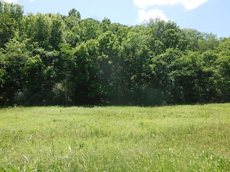 0 Hopkins Hollow Rd Unit 236653, Gainesboro, TN 38562