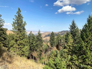 0 Number 2 Canyon Rd Unit C NWM2280606, Wenatchee, WA 98801