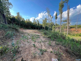 15ac County Road 700, Cullman, AL 35055