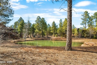 4021 W Red Twig Ln, Show Low, AZ 85901