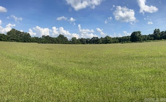 823 Cr 352 Rd, Piggott, AR 72454