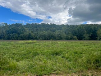 001 County Road 527, Bridges Township, MO 65655