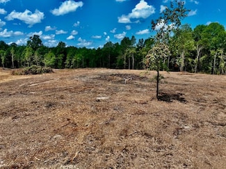 Smith Rd Unit LotWP001, Columbia, MS 39429