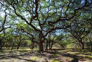 26662 Fawn Mountain, Boerne, TX 78015