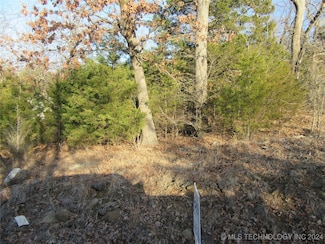 0 Watson St Eufaula Sportsman, Eufaula, OK 74432