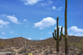 435 N Resort Hills Place Unit 14, Tucson, AZ 85745