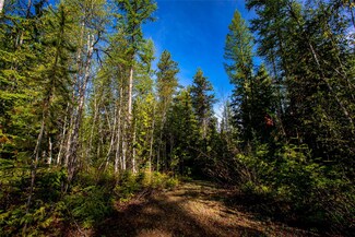 1360 Cameron Ln, Whitefish, MT 59937