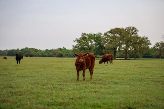 930 County Road 357, Gause, TX 77857