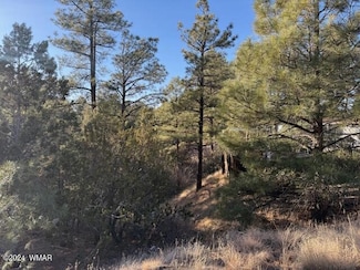 2561 W Rogers Dr, Show Low, AZ 85901