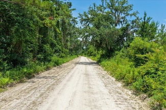 Vacant Ne Bayberry, Madison, FL 32340