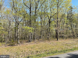 13323 Black Meadow Rd, Spotsylvania, VA 22553