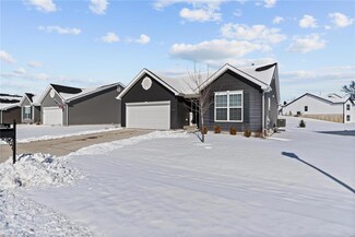 1593 Lake Meade Dr, Pacific, MO 63069