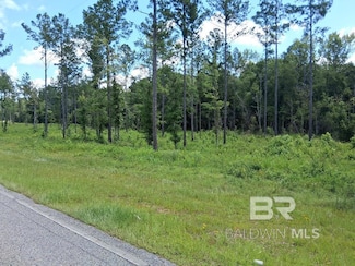 00000 Lottie Rd, Atmore, AL 36507