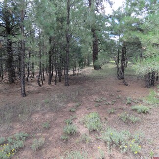 94 Knife Edge Place, Pagosa Springs, CO 81147