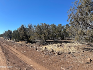 19 N8333, Concho, AZ 85924
