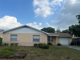 2507 Hollis Dr, Tampa, FL 33618