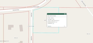 00 Holly Bush Rd, Pelahatchie, MS 39145